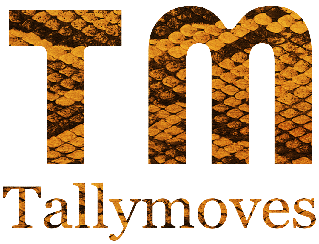 TallyMoves Homecoming
